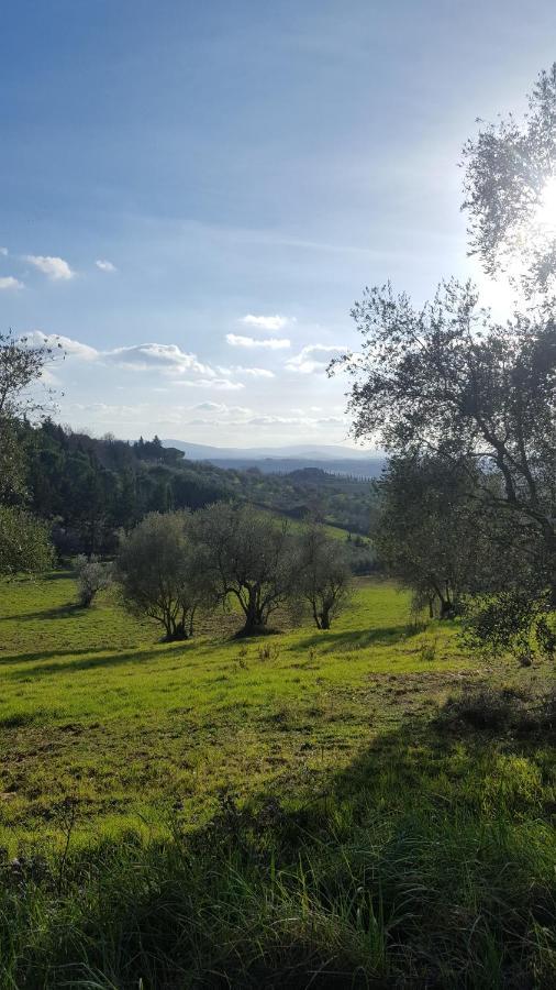 Villore - Home Sweet Home Tuscany Poggibonsi Kültér fotó